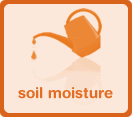 Soil moisture conditions